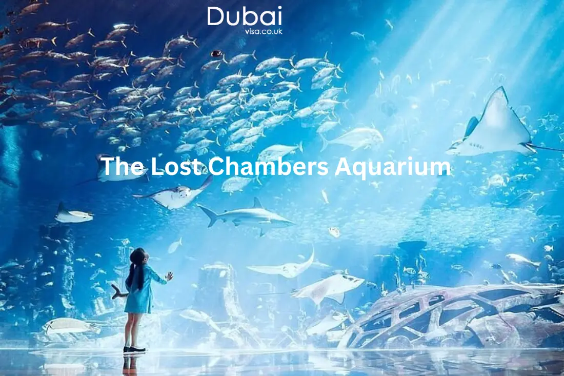 The Lost Chambers Aquarium